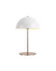 Plastic & Iron Table Lamp