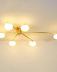 Floating Arm Globe Ceiling Lamp