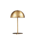 Plastic & Iron Table Lamp