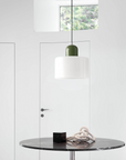 Curved Sculptural Pendant Lamp