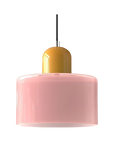 Curved Sculptural Pendant Lamp