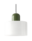 Curved Sculptural Pendant Lamp
