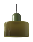 Curved Sculptural Pendant Lamp