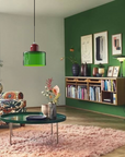 Curved Sculptural Pendant Lamp
