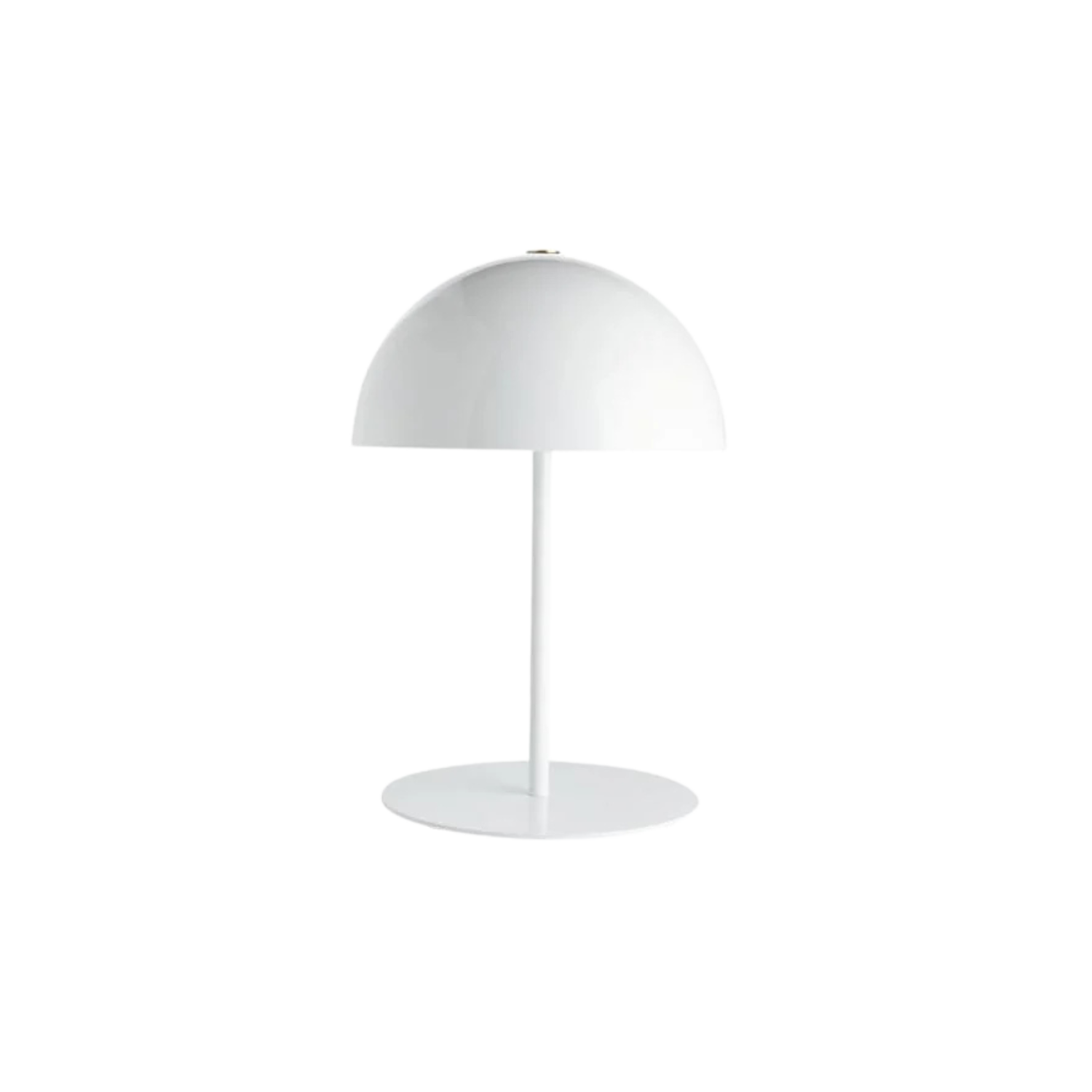 Plastic & Iron Table Lamp