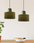 Curved Sculptural Pendant Lamp