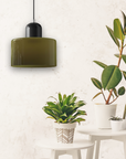 Curved Sculptural Pendant Lamp