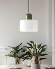 Curved Sculptural Pendant Lamp