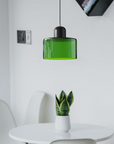 Curved Sculptural Pendant Lamp