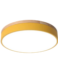 Wood Accent Ceiling Lamp