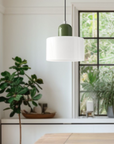Curved Sculptural Pendant Lamp