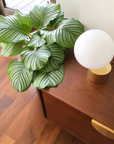 Orb Table Lamp