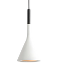 Contemporary Pendant Lamp