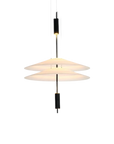 Sculptural Floating Pendant Lamp