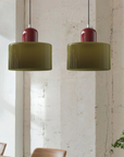 Curved Sculptural Pendant Lamp