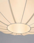 Veil Pendant Lamp