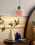 Curved Sculptural Pendant Lamp