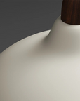 Curved Pendant Lamp