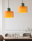 Curved Sculptural Pendant Lamp