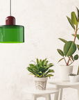 Curved Sculptural Pendant Lamp