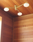 Floating Arm Globe Ceiling Lamp