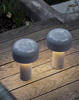Curved Dome Table Lamp