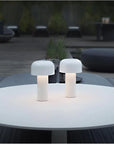 Curved Dome Table Lamp