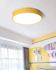 Wood Accent Ceiling Lamp