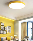 Wood Accent Ceiling Lamp