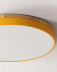 Wood Accent Ceiling Lamp