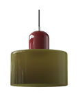 Curved Sculptural Pendant Lamp