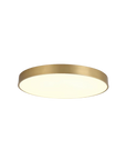 Golden Circle Ceiling Lamp
