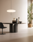 Acrylic Pendant Lamp