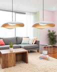Sculptural Wave Pendant Lamp